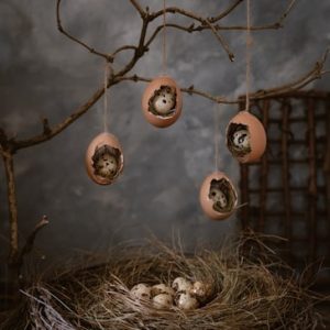 Celadon Blue Egg Layer Quail