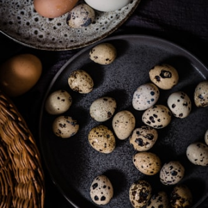 Jumbo Coturnix Quail Eggs